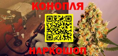 гидра Гусев