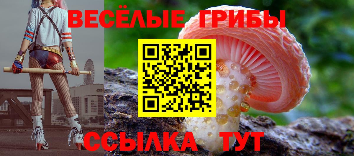 Галлюциногенные грибы прущие грибы  купить   Назрань  Вход с VPN 