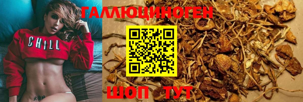Галлюциногенные грибы мицелий Назрань